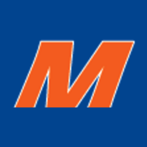 Favicon Merlino